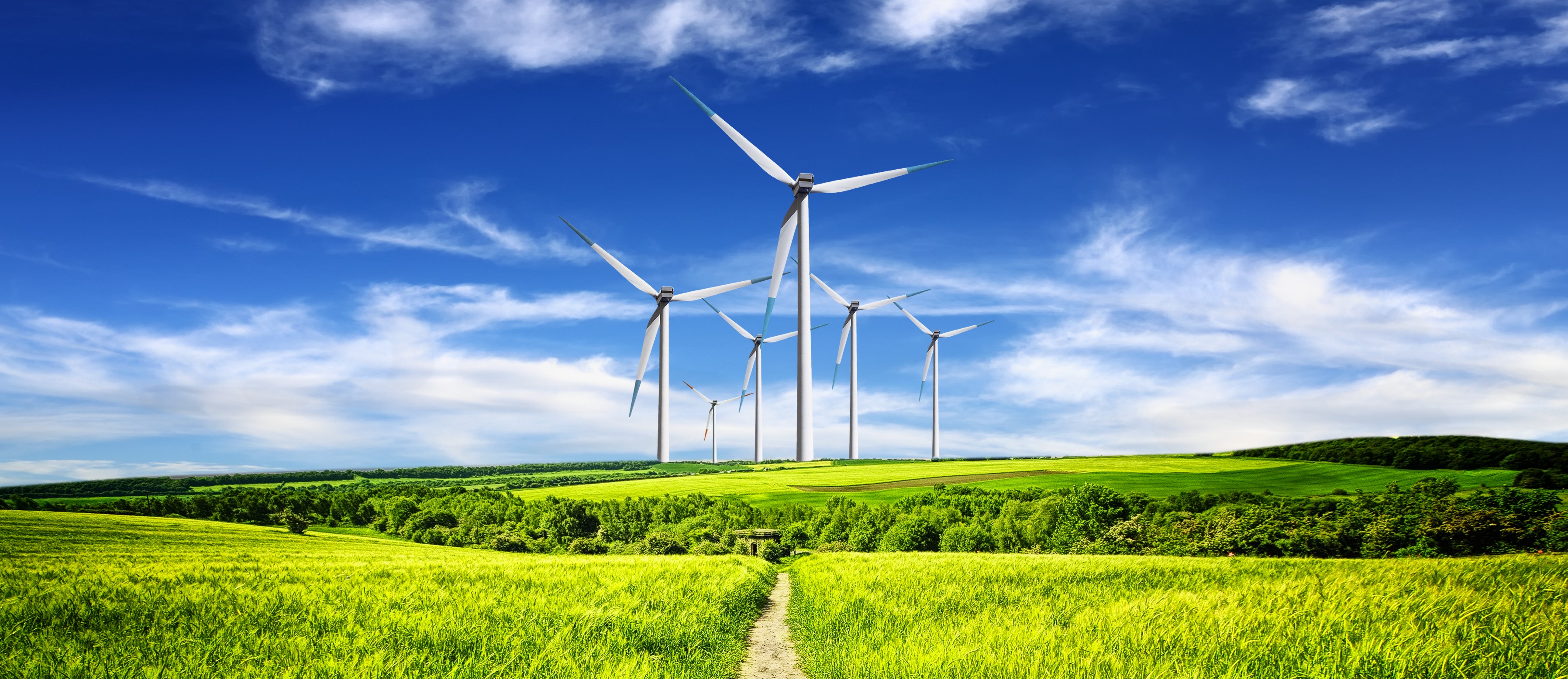 New industries can feast on volatile wind, solar: Q&A