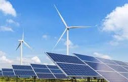 Renewable industry needs policy push