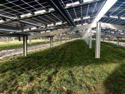Successful Grid Connection of the Biggest N-Bifacial Solar Power Plant in Europe Built by Unisun Energy Netherlands with Jolywood Modules