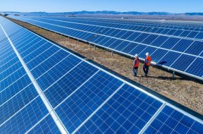 Green New Deal Sparks Solar Energy Interest, Companies Exploring Solar Options