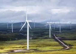 Statkraft seeks to reduce stakes in its Swedish wind energy farms