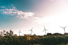 US wind power grew 8% in 2018 amid record demand
