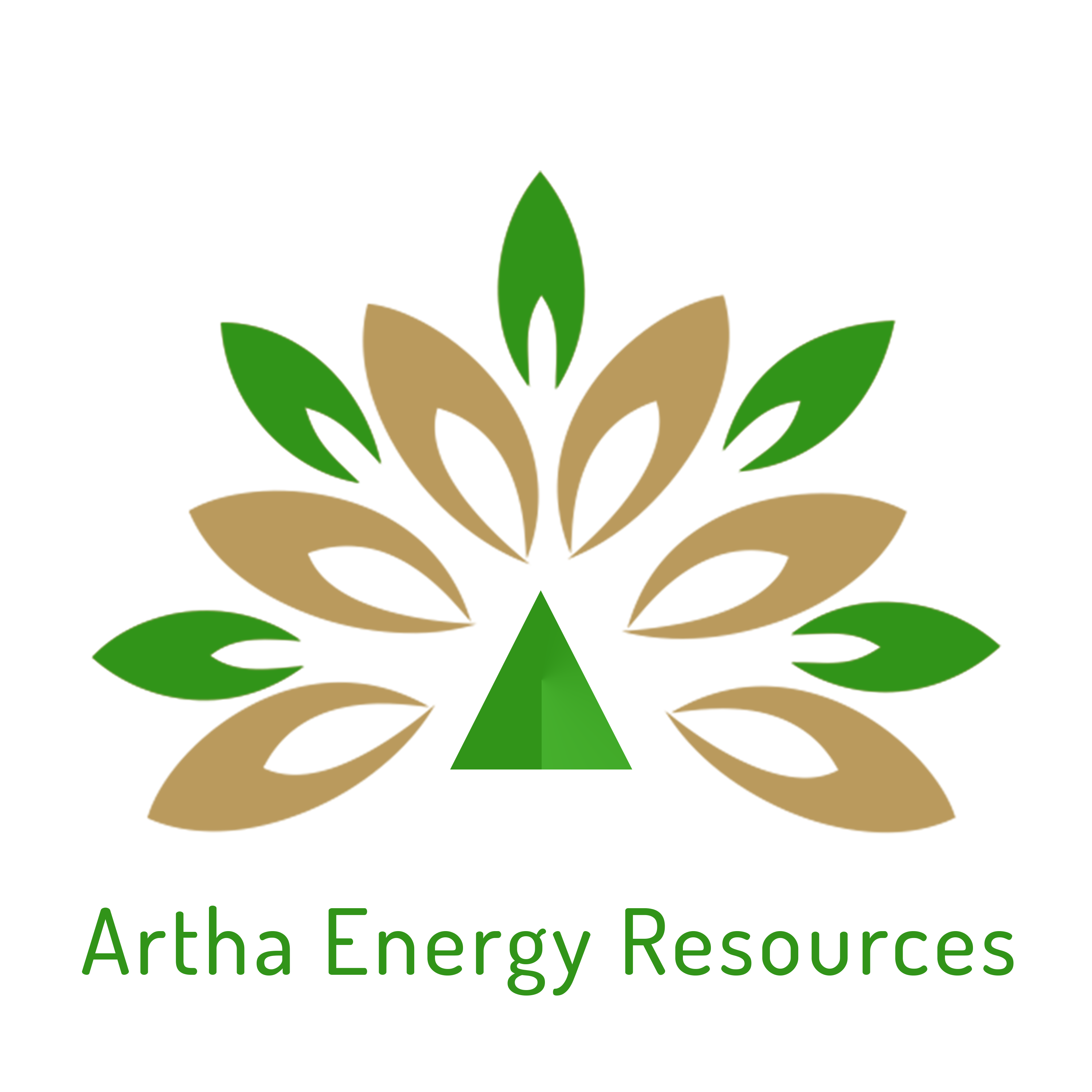 In an exclusive talk with Animesh Damani, Managing Partner – Artha Energy Resources