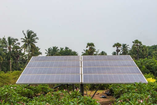 Maharashtra: Over 300 schools will run on solar power, become self-reliant