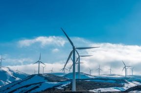 Wind tariffs don’t fall further in latest auction