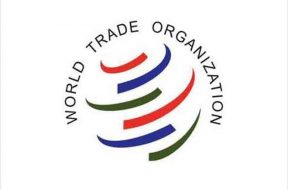 WTO panel rules in India’s favour in renewable energy case against US