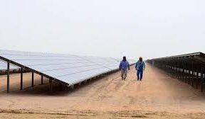 Abu Dhabi utility shortlists 24 firms for 2000 MW solar plant