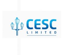 CESC not to go for renewables biz
