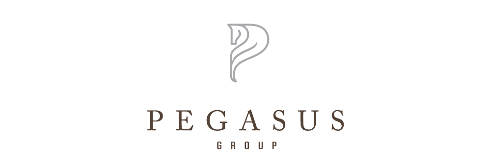 Pegasus Group Holdings Acquires Solar Innovator Plus Minus Power