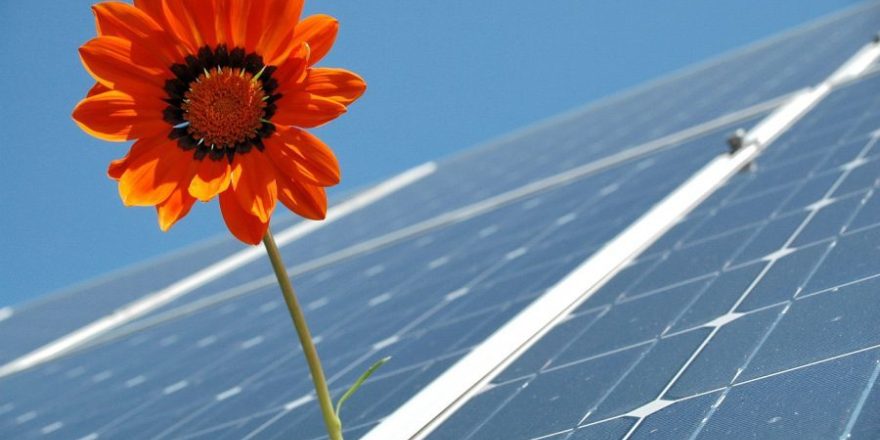 NTPC Plans 5000-MW Ultra-Mega Solar Plant in Kutch worth $2.8 Bn Investment