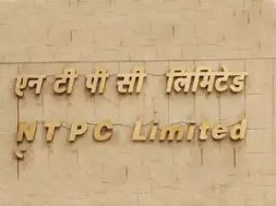 No bidders for NTPC’s tender for 1,200 MW solar projects