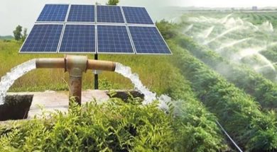 Solar pumps, NDDB and the birth of PM-KUSUM