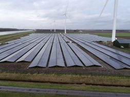 Unisun Energy Group Sells 11.75 MW Solar Park in Rilland to Alternus