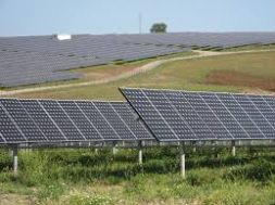 Feasibility study of installation of MW level grid connected solar photovoltaic power plant for northeastern region of India