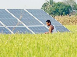 Govt shifting gears from diesel to solar