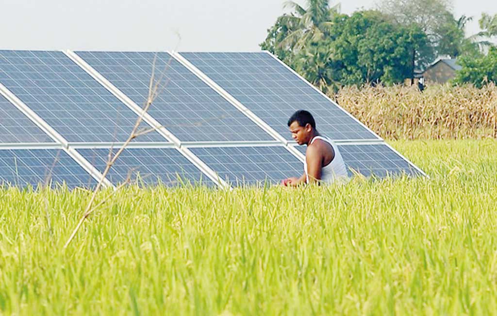 Govt shifting gears from diesel to solar