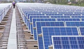 Chinese module maker Trina explores tie-ups to fund distressed solar projects