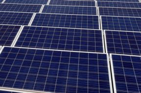 5 MW solar power plants to be set up in Noida