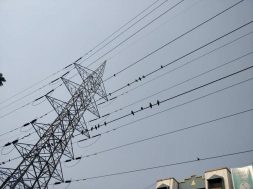 Government proposes grant of Rs 1.1 lakh crore for state discoms