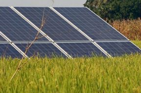 China-Bangladesh JVC to set up 200MW solar power plant