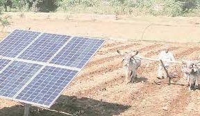 Indore Discoms to buy surplus power from farmers’ solar panels