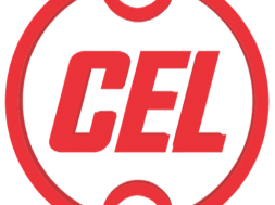 CEL Floats Tender For Supply of 3 MWp Multicrystalline Solar PV Modules 