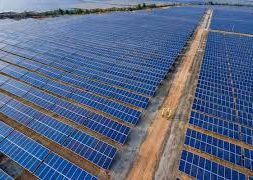 SECI Issues Tender For Setting Up of 10 MW Solar PV Power Projects At Rajasthan