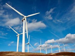 Wind power firms call for nations to maintain green momentum amid pandemic