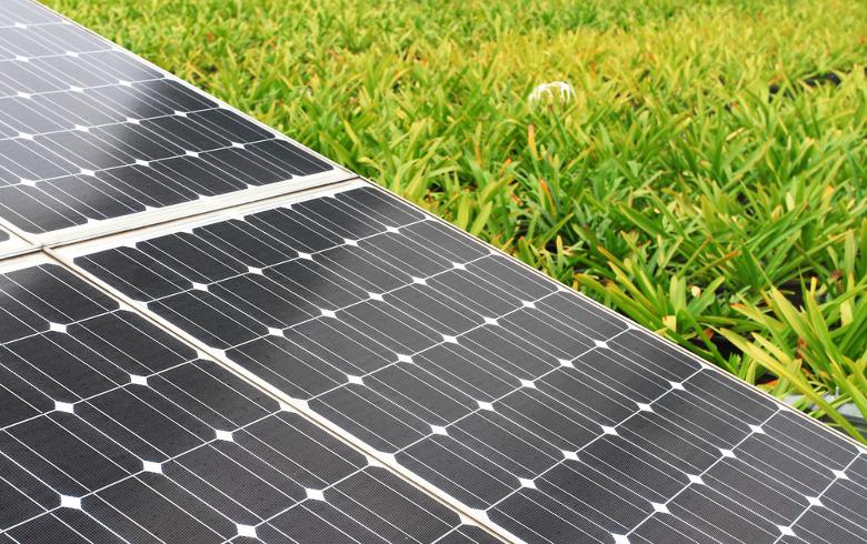 India’s ReNew Power plans 2-GW solar PV factory – report