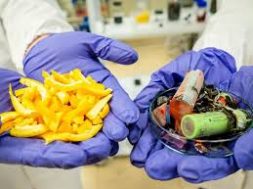 Scientists use fruit peel to turn old batteries into new