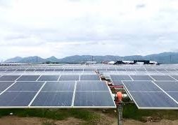 Vietnam’s Ha Do Group inaugurates 50-MWp solar farm in Ninh Thuan
