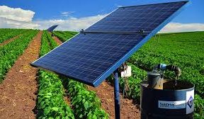 Egyptian farmers to access finance for solar irrigation pumps
