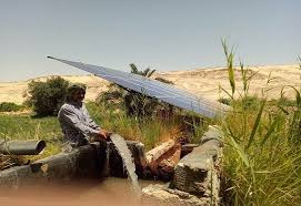IFC, Agricultural Bank of Egypt partner to promote farmers’ switch to solar irrigation systems
