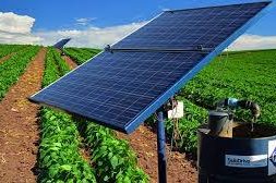 New partnership to help Egyptian farmers buy solar irrigation systems