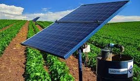 New partnership to help Egyptian farmers buy solar irrigation systems