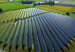 UAE’s Ras Al Khaimah picks 20 companies to move ahead with first solar tender