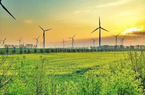 Wind energy powers more than half of UK electricity for first time