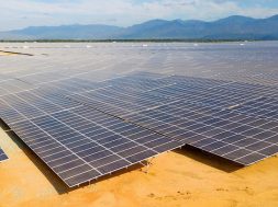government-to-have-new-policy-on-purchase-of-solar-power-soon-1