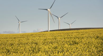 SAFRICA-AGRICULTURE-ENVIRONMENT-WIND-TURBINES