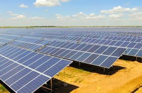 Sterling and Wilson Solar Q3 profit tanks 55% to Rs 22.45 crore