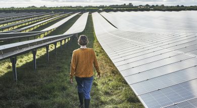 Young female farmer walking through solar farm