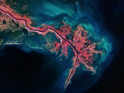 PHOTO – Mississippi River Delta – CREDIT European Space Agency