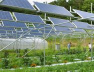 Solar power generation on agricultural land expands in Japan