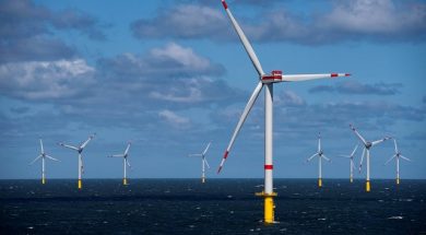 Wind energy industry can create 3.3 million jobs GWEC