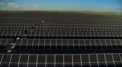 Roadrunner solar farm