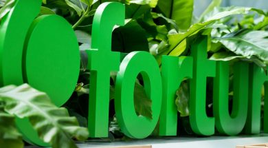 Fortum to divest 500 MW of solar power plants in India – agreement with Actis for solar investments