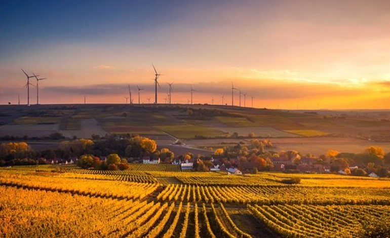 Clean Energy Fund Manager Glenmont Sells 100 MW French Wind Portfolio