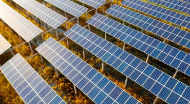 SECL to set up 40 MW Solar Plant to boost renewable initiative