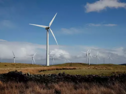 Wind lobby says Germany must do better as H1 onshore wind rises 62%