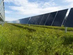 First Solar Commits to Science-Based Emissions Targets, Net Zero Emissions by 2050